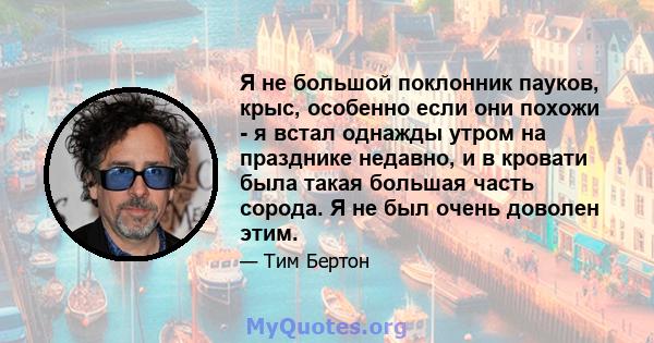 Я не большой поклонник пауков, крыс, особенно если они похожи - я встал однажды утром на празднике недавно, и в кровати была такая большая часть сорода. Я не был очень доволен этим.