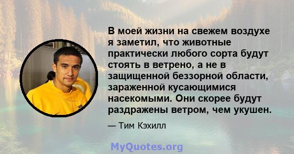 В моей жизни на свежем воздухе я заметил, что животные практически любого сорта будут стоять в ветрено, а не в защищенной беззорной области, зараженной кусающимися насекомыми. Они скорее будут раздражены ветром, чем