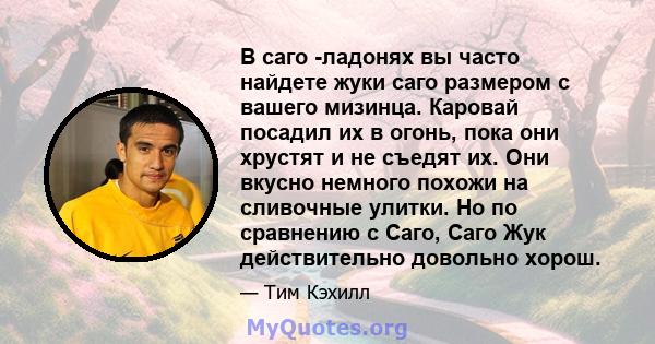 В саго -ладонях вы часто найдете жуки саго размером с вашего мизинца. Каровай посадил их в огонь, пока они хрустят и не съедят их. Они вкусно немного похожи на сливочные улитки. Но по сравнению с Саго, Саго Жук