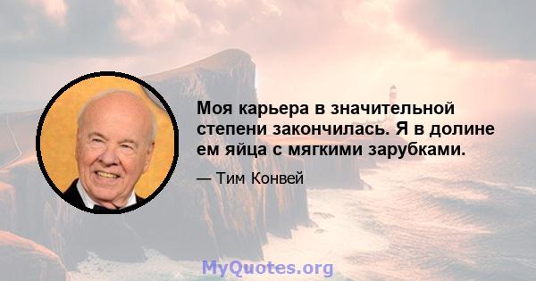 Моя карьера в значительной степени закончилась. Я в долине ем яйца с мягкими зарубками.