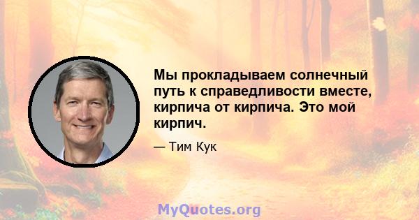 Мы прокладываем солнечный путь к справедливости вместе, кирпича от кирпича. Это мой кирпич.