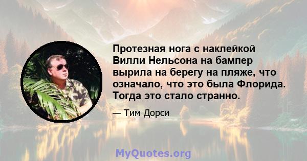 Протезная нога с наклейкой Вилли Нельсона на бампер вырила на берегу на пляже, что означало, что это была Флорида. Тогда это стало странно.