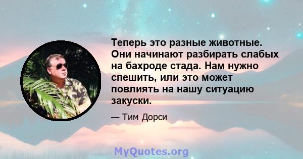 Теперь это разные животные. Они начинают разбирать слабых на бахроде стада. Нам нужно спешить, или это может повлиять на нашу ситуацию закуски.