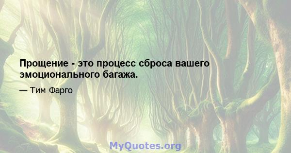 Прощение - это процесс сброса вашего эмоционального багажа.