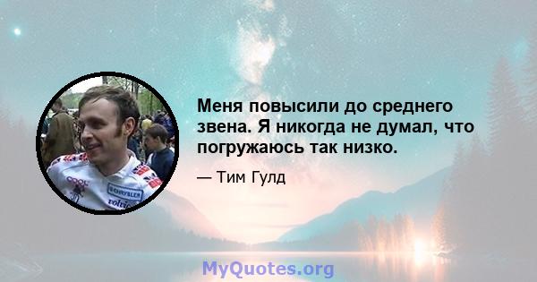 Меня повысили до среднего звена. Я никогда не думал, что погружаюсь так низко.