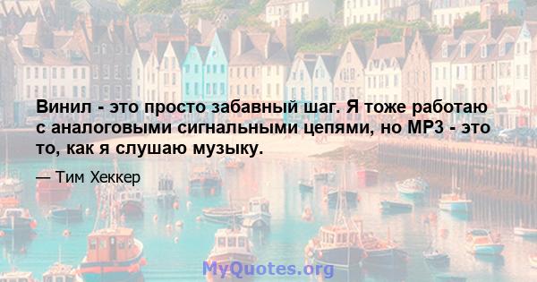 Винил - это просто забавный шаг. Я тоже работаю с аналоговыми сигнальными цепями, но MP3 - это то, как я слушаю музыку.