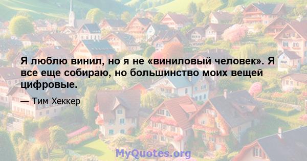 Я люблю винил, но я не «виниловый человек». Я все еще собираю, но большинство моих вещей цифровые.