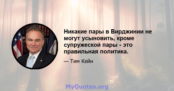 Никакие пары в Вирджинии не могут усыновить, кроме супружеской пары - это правильная политика.