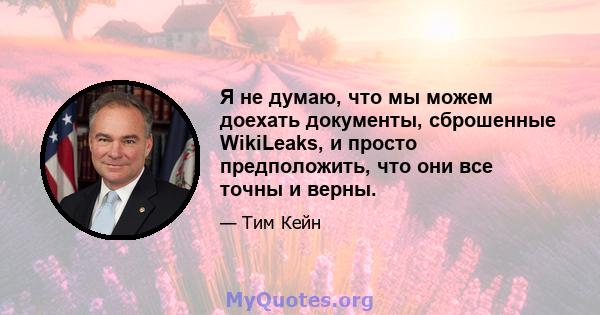 Я не думаю, что мы можем доехать документы, сброшенные WikiLeaks, и просто предположить, что они все точны и верны.