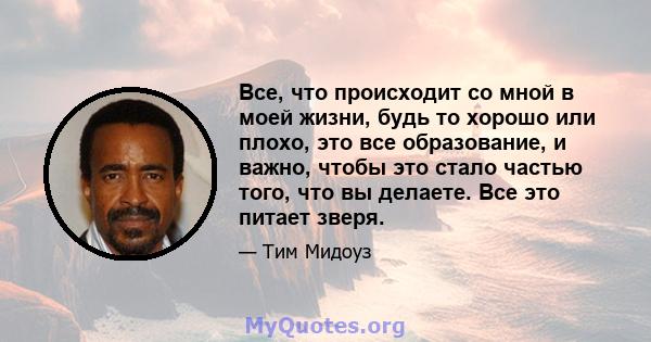 Все, что происходит со мной в моей жизни, будь то хорошо или плохо, это все образование, и важно, чтобы это стало частью того, что вы делаете. Все это питает зверя.