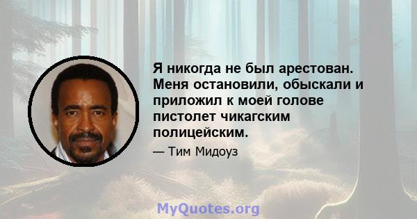 Я никогда не был арестован. Меня остановили, обыскали и приложил к моей голове пистолет чикагским полицейским.