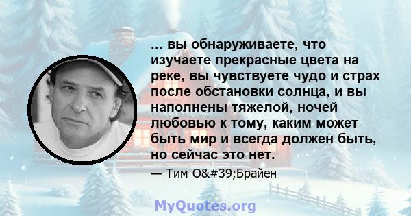 ... вы обнаруживаете, что изучаете прекрасные цвета на реке, вы чувствуете чудо и страх после обстановки солнца, и вы наполнены тяжелой, ночей любовью к тому, каким может быть мир и всегда должен быть, но сейчас это нет.