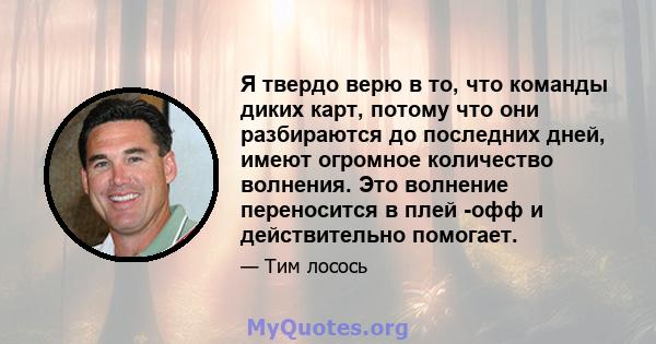 Я твердо верю в то, что команды диких карт, потому что они разбираются до последних дней, имеют огромное количество волнения. Это волнение переносится в плей -офф и действительно помогает.