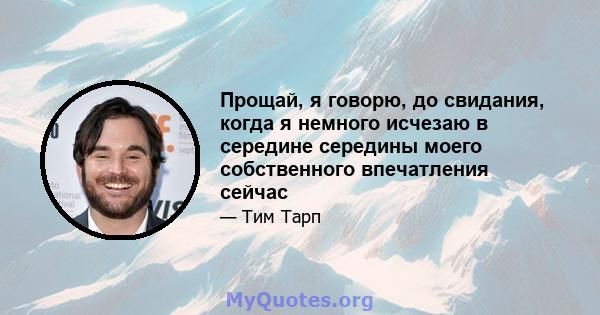 Прощай, я говорю, до свидания, когда я немного исчезаю в середине середины моего собственного впечатления сейчас