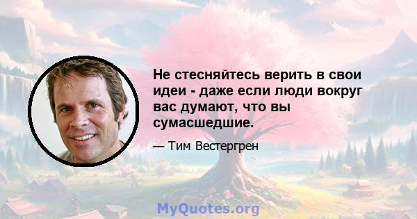 Не стесняйтесь верить в свои идеи - даже если люди вокруг вас думают, что вы сумасшедшие.