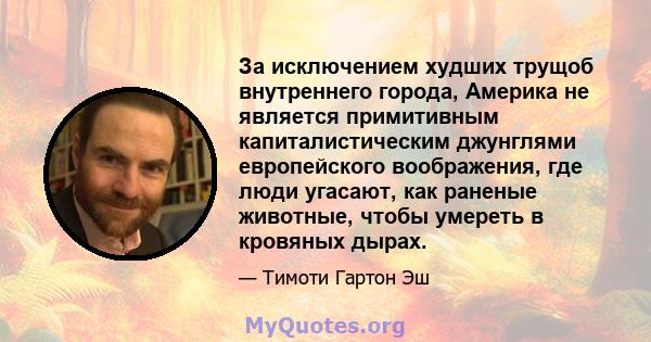 За исключением худших трущоб внутреннего города, Америка не является примитивным капиталистическим джунглями европейского воображения, где люди угасают, как раненые животные, чтобы умереть в кровяных дырах.