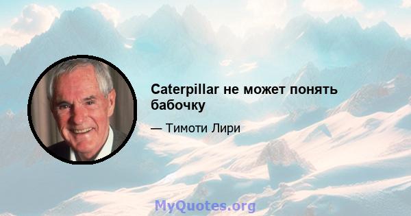 Caterpillar не может понять бабочку