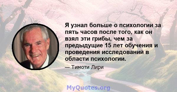 Я узнал больше о психологии за пять часов после того, как он взял эти грибы, чем за предыдущие 15 лет обучения и проведения исследований в области психологии.