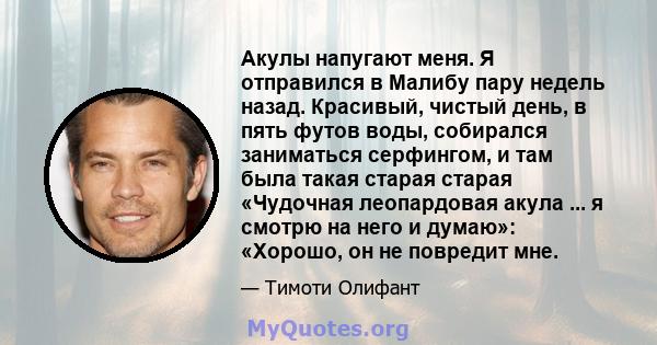 Акулы напугают меня. Я отправился в Малибу пару недель назад. Красивый, чистый день, в пять футов воды, собирался заниматься серфингом, и там была такая старая старая «Чудочная леопардовая акула ... я смотрю на него и