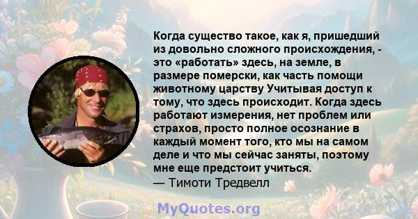 Когда существо такое, как я, пришедший из довольно сложного происхождения, - это «работать» здесь, на земле, в размере померски, как часть помощи животному царству Учитывая доступ к тому, что здесь происходит. Когда