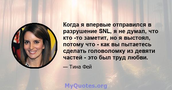 Когда я впервые отправился в разрушение SNL, я не думал, что кто -то заметит, но я выстоял, потому что - как вы пытаетесь сделать головоломку из девяти частей - это был труд любви.