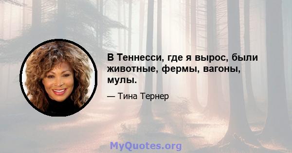 В Теннесси, где я вырос, были животные, фермы, вагоны, мулы.