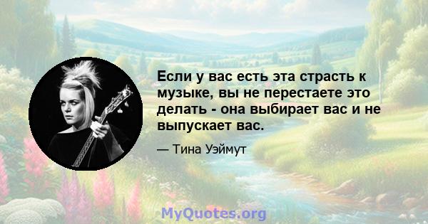 Если у вас есть эта страсть к музыке, вы не перестаете это делать - она ​​выбирает вас и не выпускает вас.