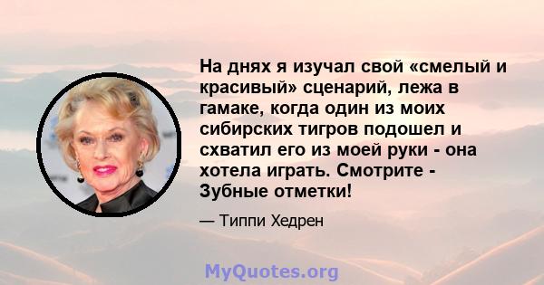 На днях я изучал свой «смелый и красивый» сценарий, лежа в гамаке, когда один из моих сибирских тигров подошел и схватил его из моей руки - она ​​хотела играть. Смотрите - Зубные отметки!