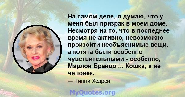 На самом деле, я думаю, что у меня был призрак в моем доме. Несмотря на то, что в последнее время не активно, невозможно произойти необъяснимые вещи, а котята были особенно чувствительными - особенно, Марлон Брандо ...