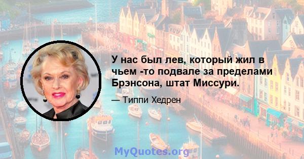 У нас был лев, который жил в чьем -то подвале за пределами Брэнсона, штат Миссури.