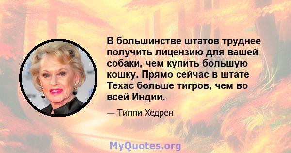 В большинстве штатов труднее получить лицензию для вашей собаки, чем купить большую кошку. Прямо сейчас в штате Техас больше тигров, чем во всей Индии.