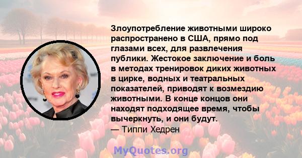 Злоупотребление животными широко распространено в США, прямо под глазами всех, для развлечения публики. Жестокое заключение и боль в методах тренировок диких животных в цирке, водных и театральных показателей, приводят