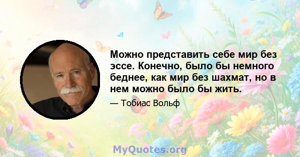 Можно представить себе мир без эссе. Конечно, было бы немного беднее, как мир без шахмат, но в нем можно было бы жить.