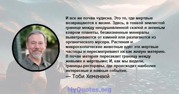 И все же почва чудесна. Это то, где мертвые возвращаются к жизни. Здесь, в тонкой землистой границе между неодушевленной скалой и зеленым ковром планеты, безжизненные минералы выветриваются от камней или разлагаются из