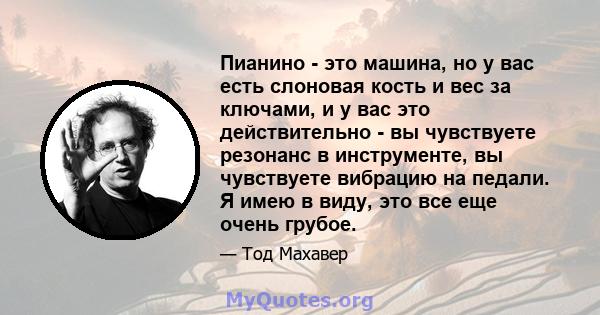 Пианино - это машина, но у вас есть слоновая кость и вес за ключами, и у вас это действительно - вы чувствуете резонанс в инструменте, вы чувствуете вибрацию на педали. Я имею в виду, это все еще очень грубое.