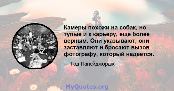 Камеры похожи на собак, но тупые и к карьеру, еще более верным. Они указывают, они заставляют и бросают вызов фотографу, который надеется.