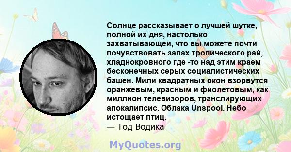 Солнце рассказывает о лучшей шутке, полной их дня, настолько захватывающей, что вы можете почти почувствовать запах тропического рай, хладнокровного где -то над этим краем бесконечных серых социалистических башен. Мили