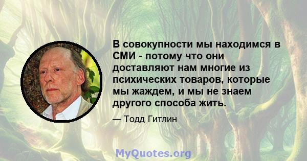 В совокупности мы находимся в СМИ - потому что они доставляют нам многие из психических товаров, которые мы жаждем, и мы не знаем другого способа жить.