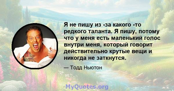 Я не пишу из -за какого -то редкого таланта. Я пишу, потому что у меня есть маленький голос внутри меня, который говорит действительно крутые вещи и никогда не заткнутся.