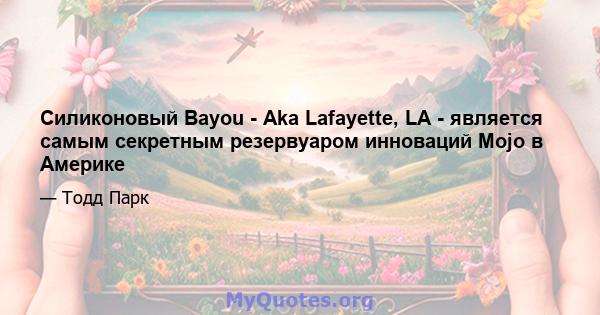 Силиконовый Bayou - Aka Lafayette, LA - является самым секретным резервуаром инноваций Mojo в Америке