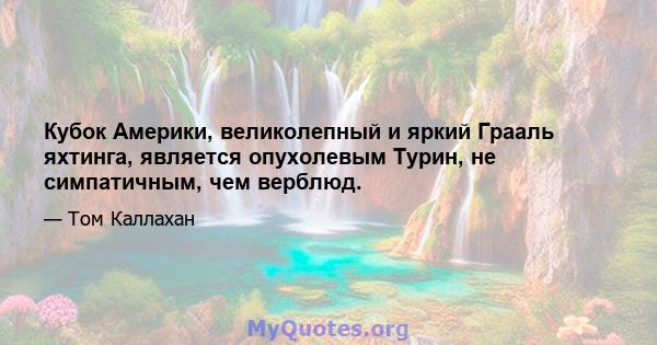 Кубок Америки, великолепный и яркий Грааль яхтинга, является опухолевым Турин, не симпатичным, чем верблюд.