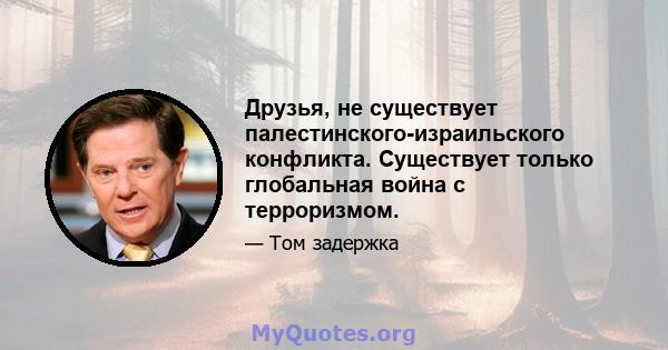 Друзья, не существует палестинского-израильского конфликта. Существует только глобальная война с терроризмом.