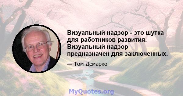 Визуальный надзор - это шутка для работников развития. Визуальный надзор предназначен для заключенных.