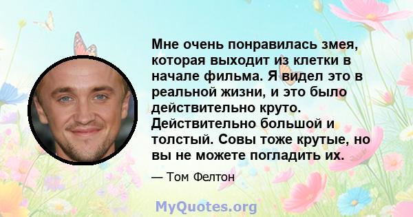 Мне очень понравилась змея, которая выходит из клетки в начале фильма. Я видел это в реальной жизни, и это было действительно круто. Действительно большой и толстый. Совы тоже крутые, но вы не можете погладить их.