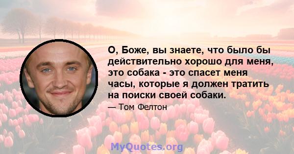 О, Боже, вы знаете, что было бы действительно хорошо для меня, это собака - это спасет меня часы, которые я должен тратить на поиски своей собаки.