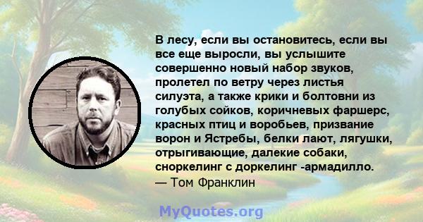 В лесу, если вы остановитесь, если вы все еще выросли, вы услышите совершенно новый набор звуков, пролетел по ветру через листья силуэта, а также крики и болтовни из голубых сойков, коричневых фаршерс, красных птиц и