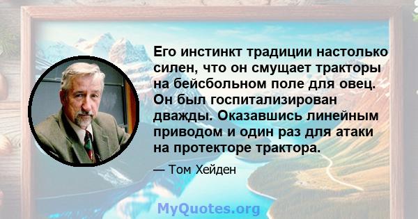 Его инстинкт традиции настолько силен, что он смущает тракторы на бейсбольном поле для овец. Он был госпитализирован дважды. Оказавшись линейным приводом и один раз для атаки на протекторе трактора.