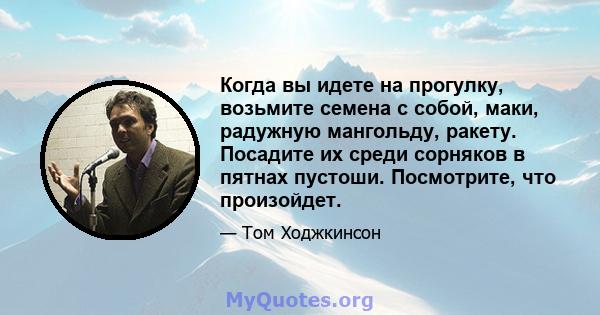 Когда вы идете на прогулку, возьмите семена с собой, маки, радужную мангольду, ракету. Посадите их среди сорняков в пятнах пустоши. Посмотрите, что произойдет.