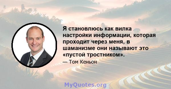 Я становлюсь как вилка настройки информации, которая проходит через меня, в шаманизме они называют это «пустой тростником».