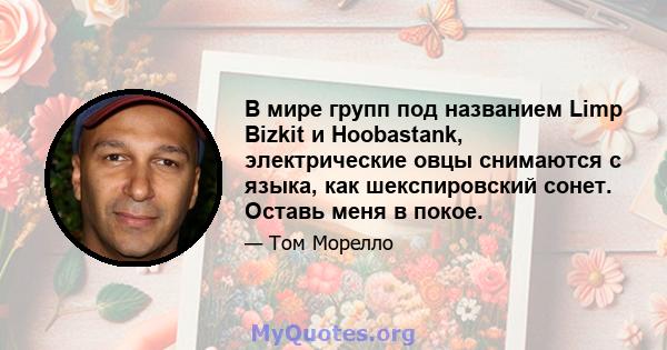 В мире групп под названием Limp Bizkit и Hoobastank, электрические овцы снимаются с языка, как шекспировский сонет. Оставь меня в покое.